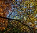 2015_11_01 (0031)